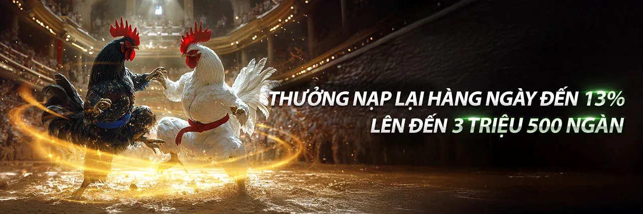 Hình ảnh đại diện Điều khoản và Điều kiện của sonbet link mới 2026